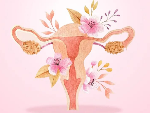 子宫记忆：你的身体里住着一位'时光记录官'！